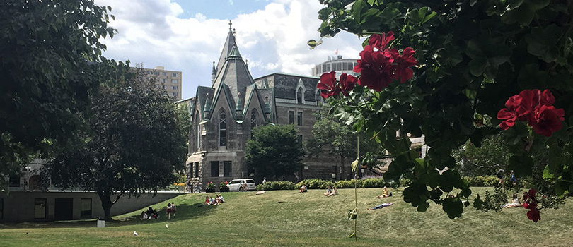 McGill lower field