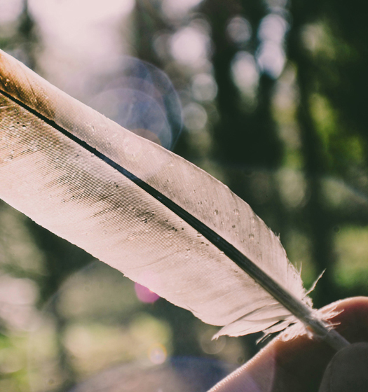 Une plume sur un doigt