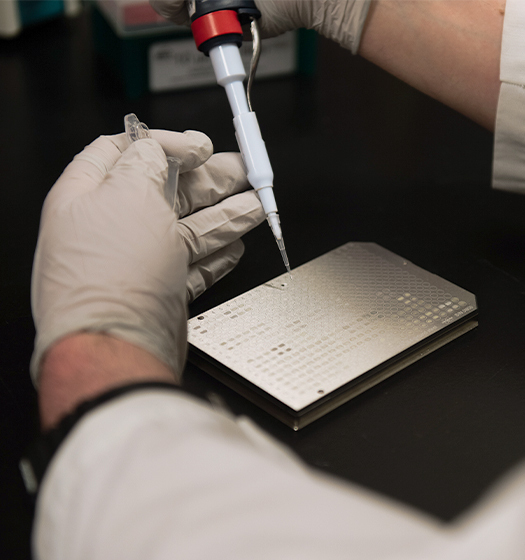 Une personne utilisant une pipette pour effectuer un prélèvement