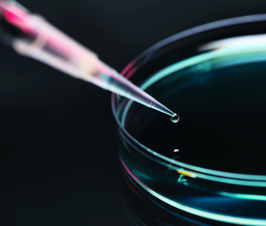 Une pipette qui dépose une goutte de liquide dans un plat en verre