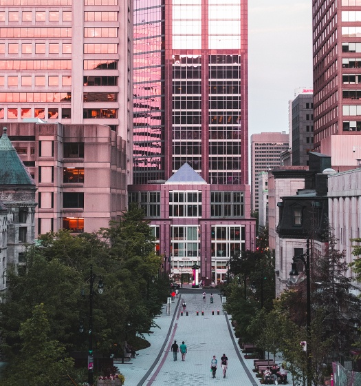 Vue vers le sud de la portion piétonne de la rue McTavish au centre-ville de Montréal