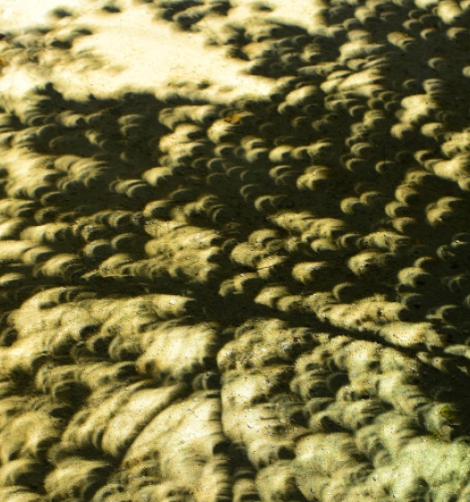 Petites ombres en forme de croissant sur le sol.