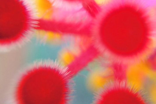 Photo colorée d’une cellule